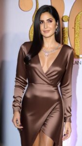 Katrina Kaif brown dress event