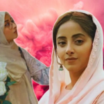 Sanam Chaudhry